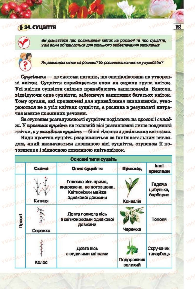 Страница 153 | Підручник Біологія 6 клас І.Ю. Костіков, С.О. Волгін, В.В. Додь 2014