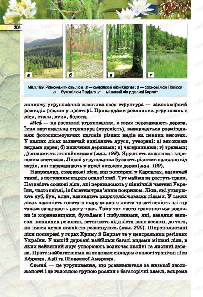 Страница 204 | Підручник Біологія 6 клас І.Ю. Костіков, С.О. Волгін, В.В. Додь 2014