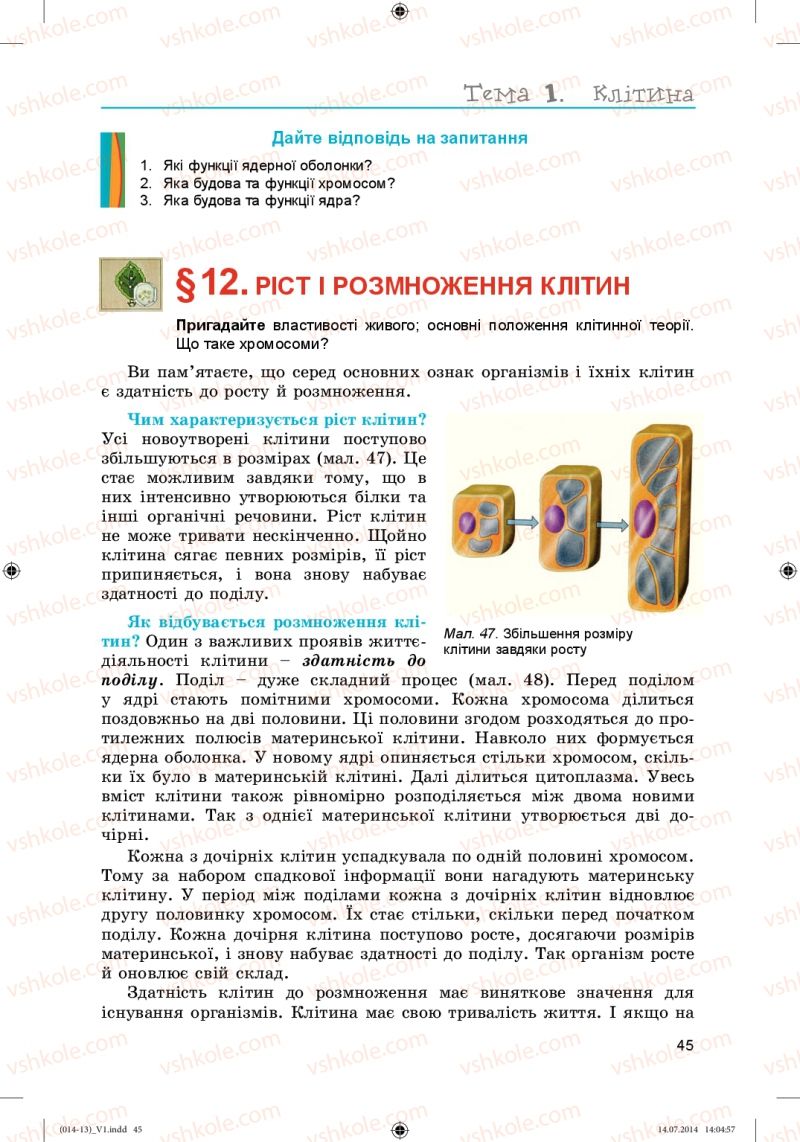 Страница 45 | Підручник Біологія 6 клас Л.І. Остапченко, П.Г. Балан, Н.Ю. Матяш 2014