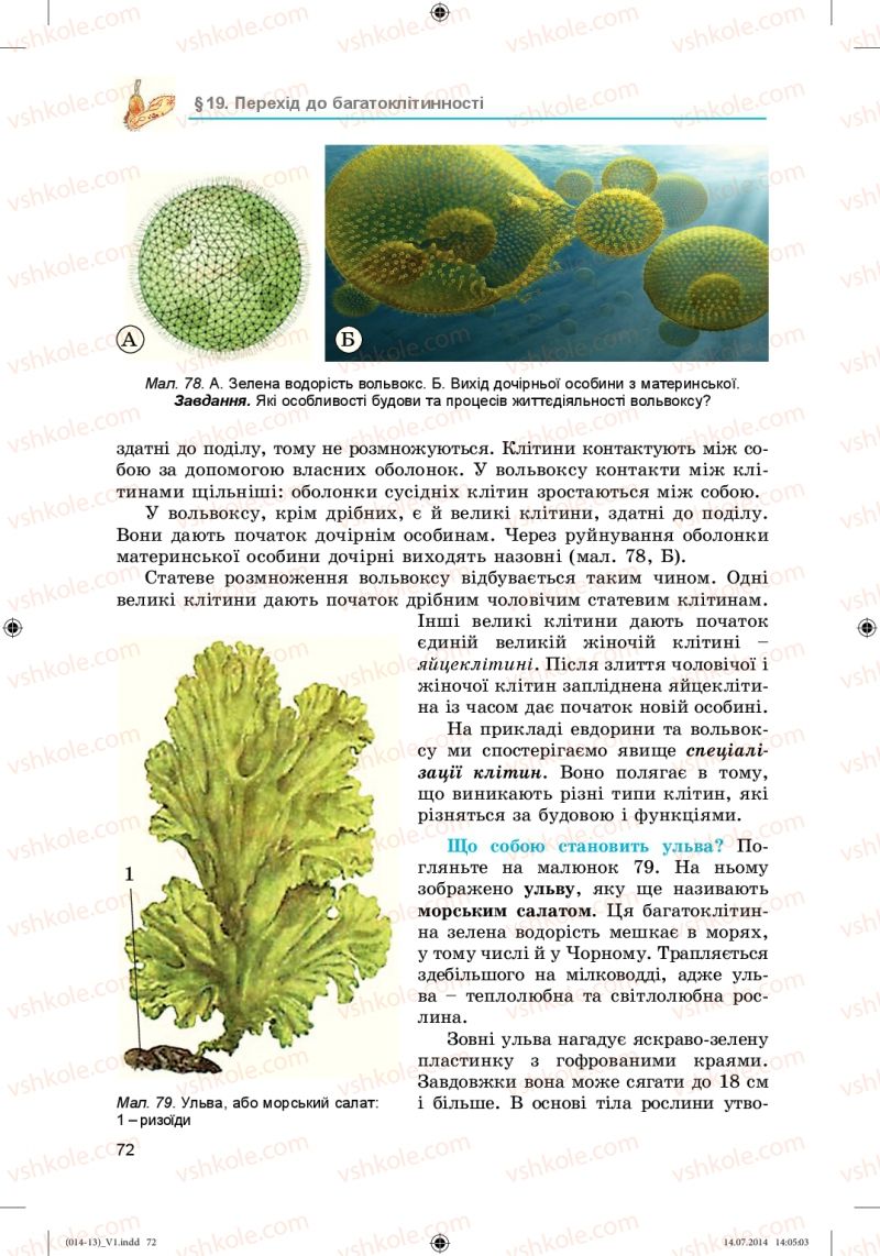 Страница 72 | Підручник Біологія 6 клас Л.І. Остапченко, П.Г. Балан, Н.Ю. Матяш 2014