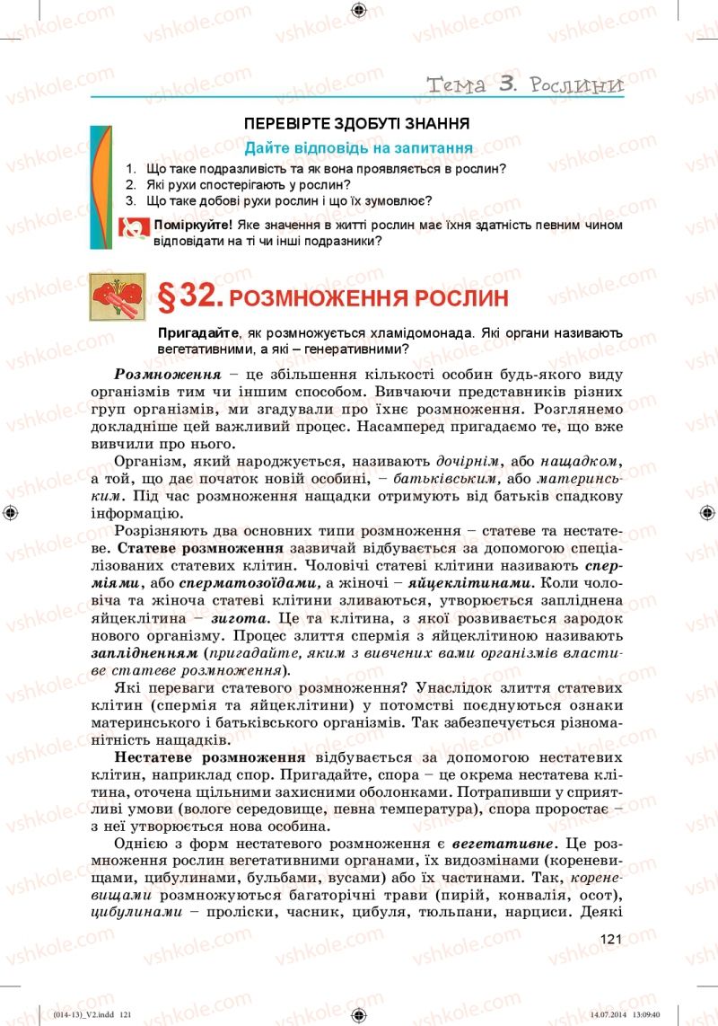 Страница 121 | Підручник Біологія 6 клас Л.І. Остапченко, П.Г. Балан, Н.Ю. Матяш 2014