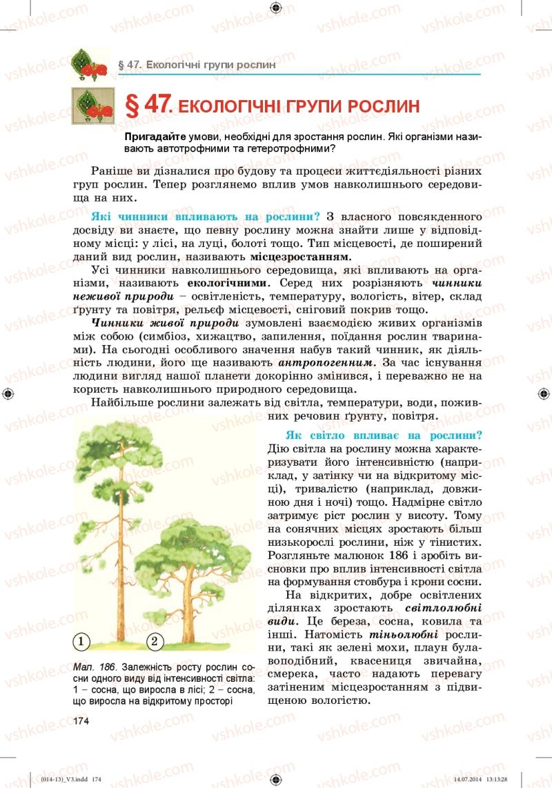 Страница 174 | Підручник Біологія 6 клас Л.І. Остапченко, П.Г. Балан, Н.Ю. Матяш 2014