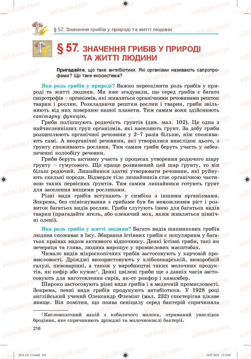 Страница 216 | Підручник Біологія 6 клас Л.І. Остапченко, П.Г. Балан, Н.Ю. Матяш 2014