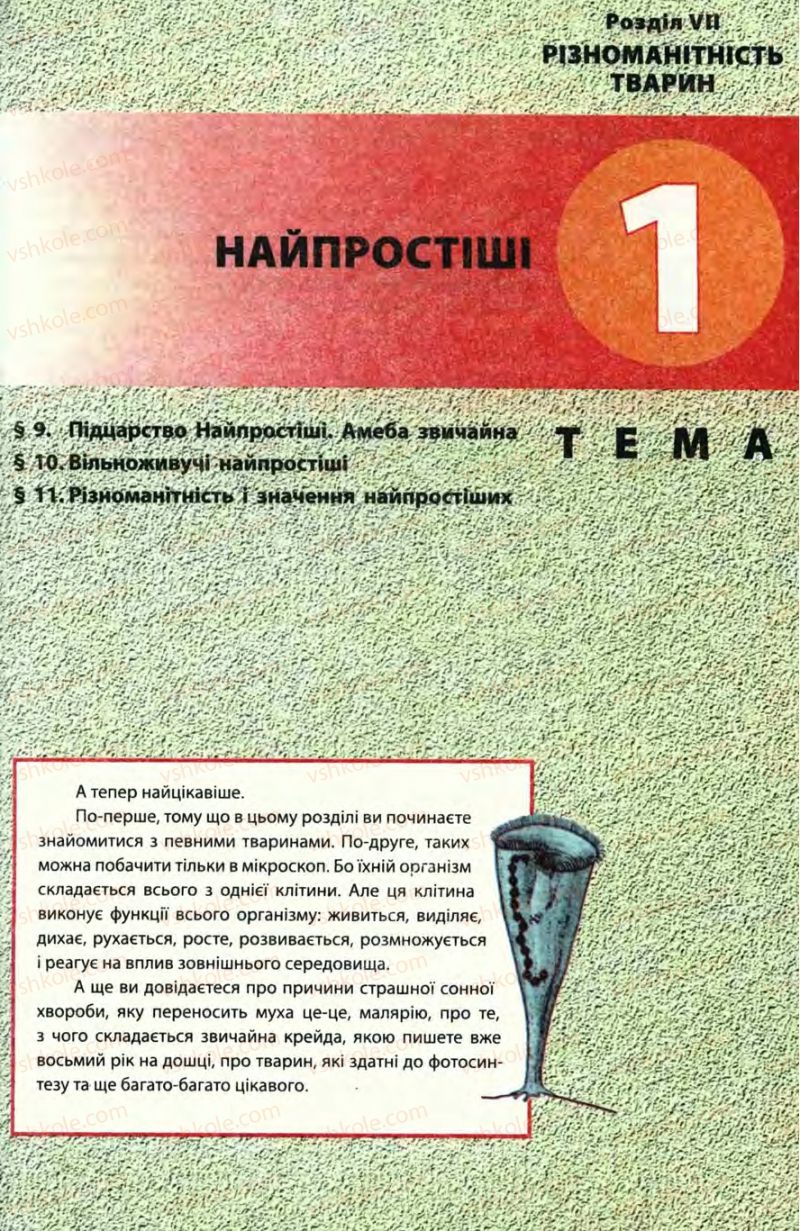 Страница 37 | Підручник Біологія 8 клас Н.В. Запорожець, С.В. Влащенко 2008