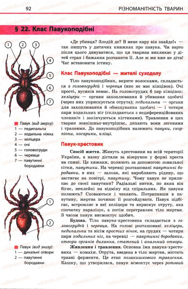 Страница 92 | Підручник Біологія 8 клас Н.В. Запорожець, С.В. Влащенко 2008