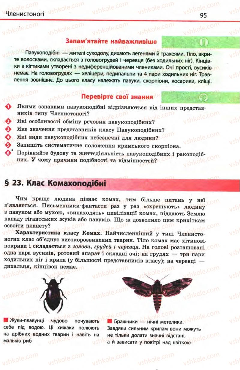 Страница 95 | Підручник Біологія 8 клас Н.В. Запорожець, С.В. Влащенко 2008