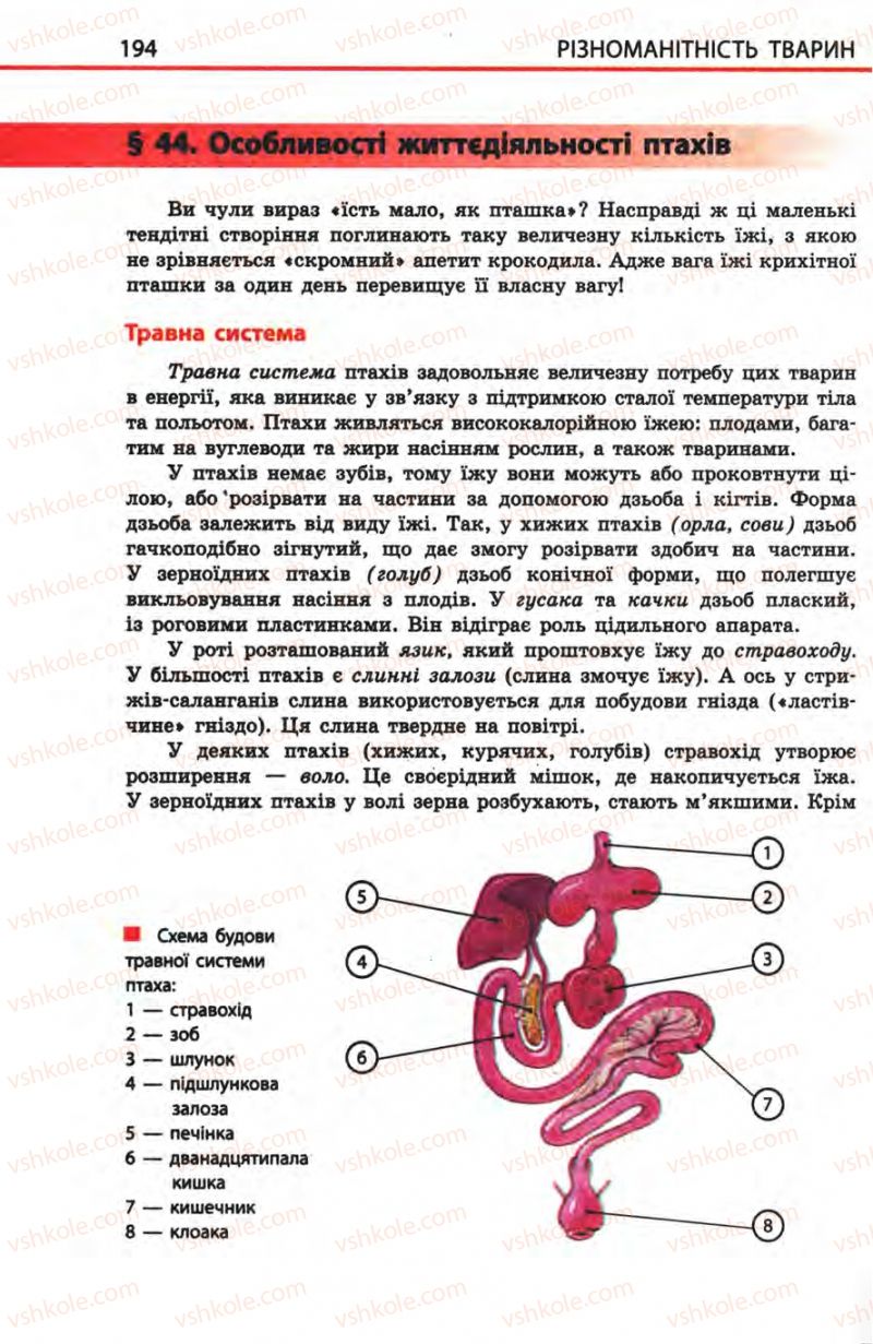 Страница 194 | Підручник Біологія 8 клас Н.В. Запорожець, С.В. Влащенко 2008