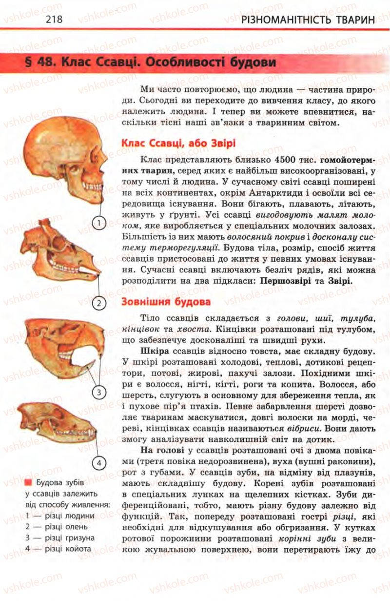 Страница 218 | Підручник Біологія 8 клас Н.В. Запорожець, С.В. Влащенко 2008