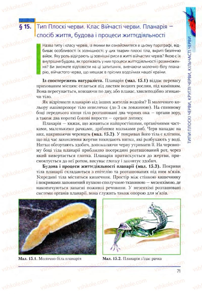 Страница 71 | Підручник Біологія 8 клас Т.І. Базанова, Ю.В. Павіченко, О.Г. Шатровський 2008