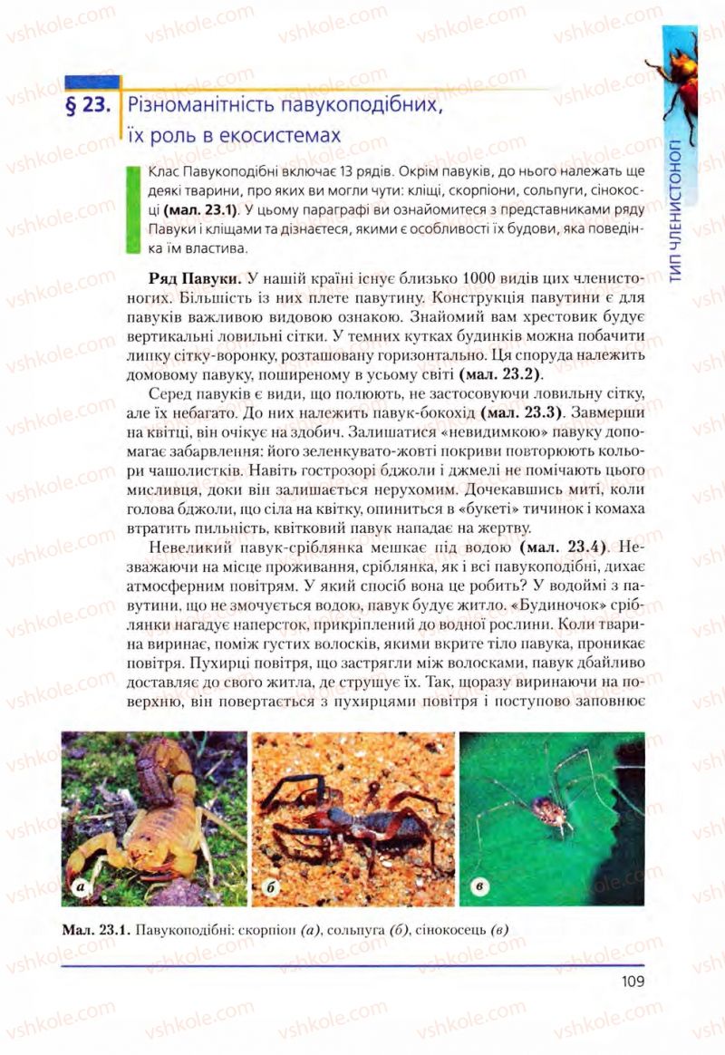 Страница 109 | Підручник Біологія 8 клас Т.І. Базанова, Ю.В. Павіченко, О.Г. Шатровський 2008