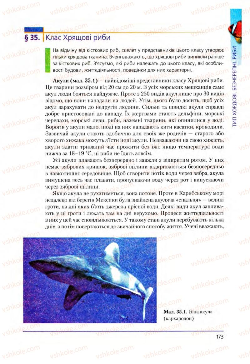 Страница 173 | Підручник Біологія 8 клас Т.І. Базанова, Ю.В. Павіченко, О.Г. Шатровський 2008