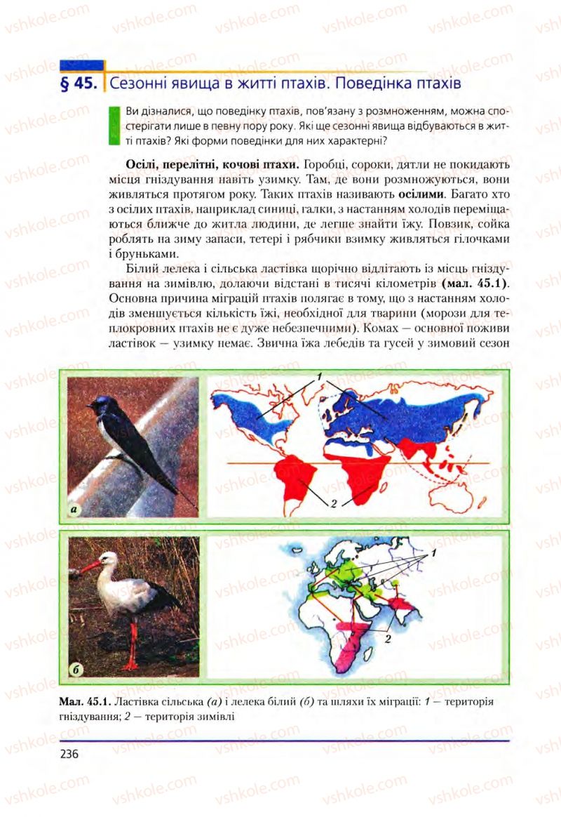 Страница 236 | Підручник Біологія 8 клас Т.І. Базанова, Ю.В. Павіченко, О.Г. Шатровський 2008