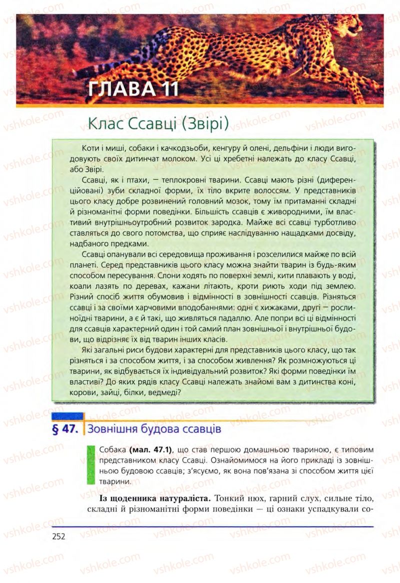 Страница 252 | Підручник Біологія 8 клас Т.І. Базанова, Ю.В. Павіченко, О.Г. Шатровський 2008