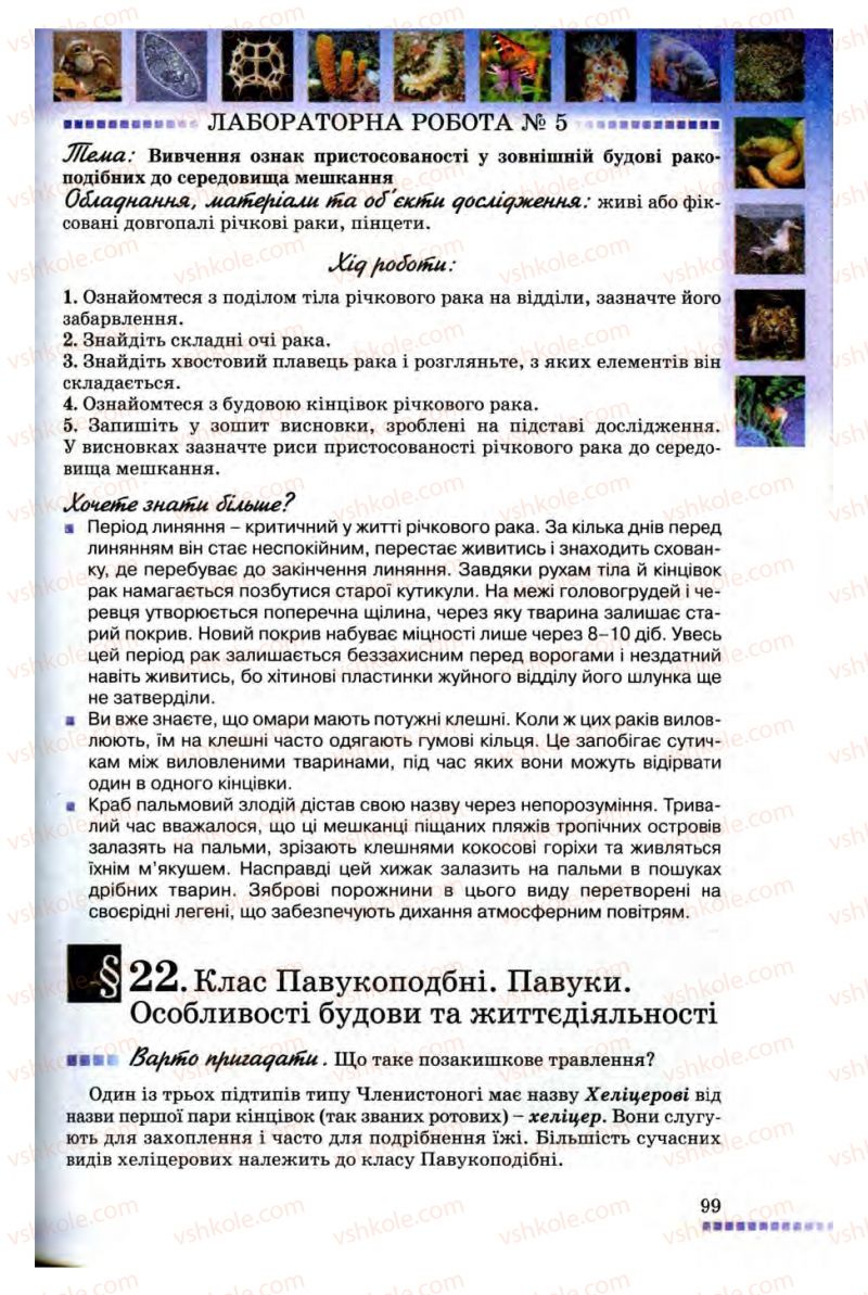 Страница 99 | Підручник Біологія 8 клас В.В. Серебряков, П.Г. Балан 2008