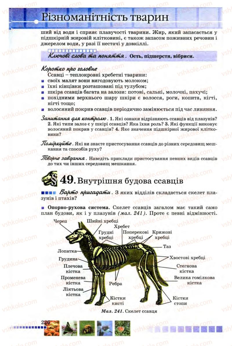 Страница 226 | Підручник Біологія 8 клас В.В. Серебряков, П.Г. Балан 2008