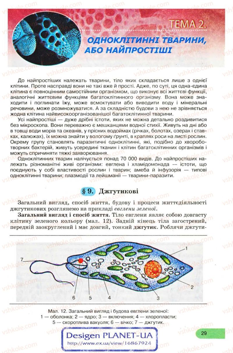 Страница 29 | Підручник Біологія 8 клас С.В. Межжерін, Я.О. Межжеріна 2008