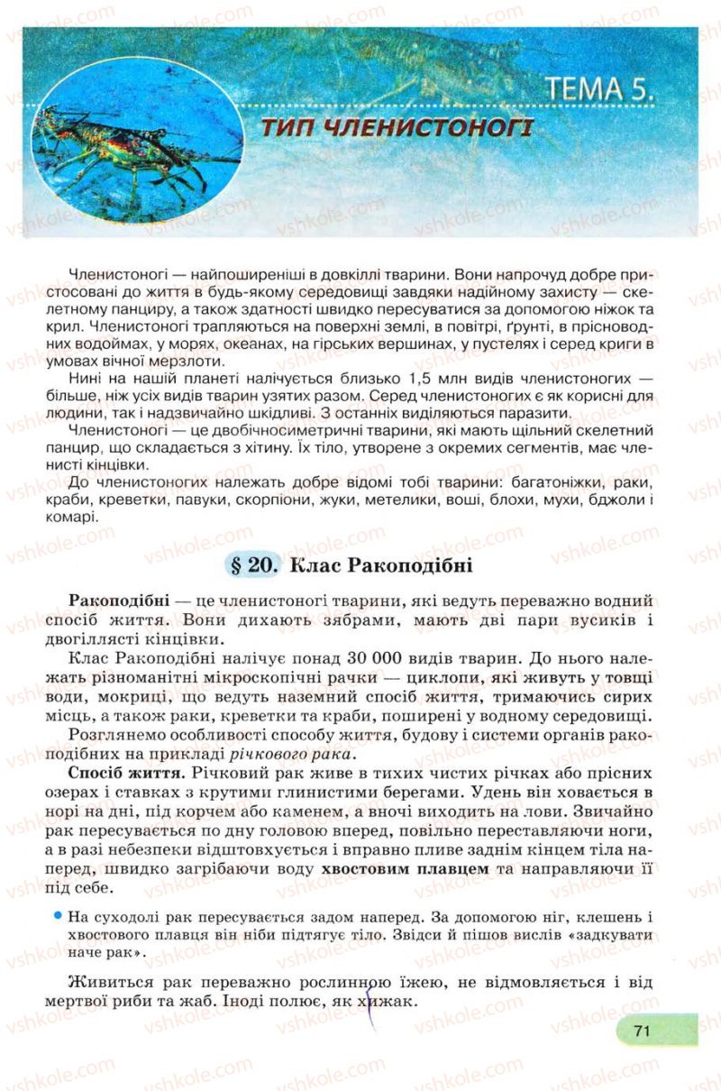 Страница 71 | Підручник Біологія 8 клас С.В. Межжерін, Я.О. Межжеріна 2008