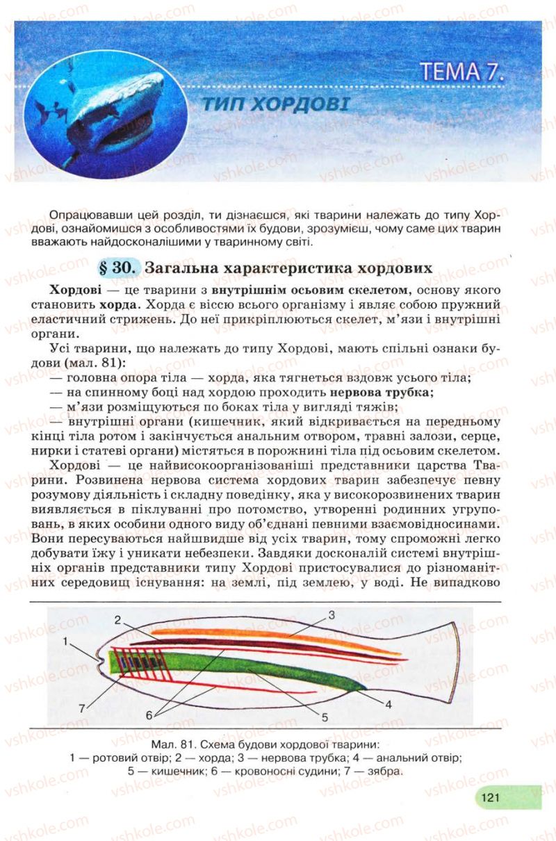 Страница 121 | Підручник Біологія 8 клас С.В. Межжерін, Я.О. Межжеріна 2008