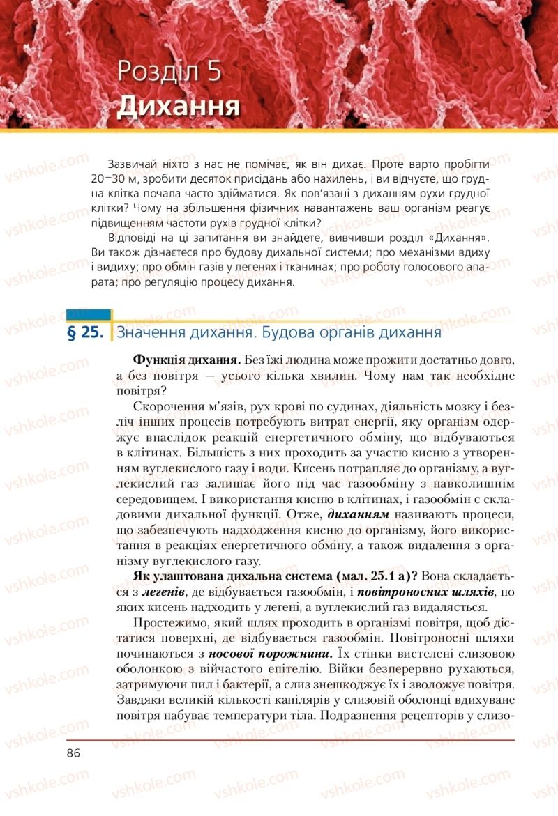 Страница 86 | Підручник Біологія 9 клас Т.І. Базанова, Ю.В. Павіченко, А.М. Тіткова 2009