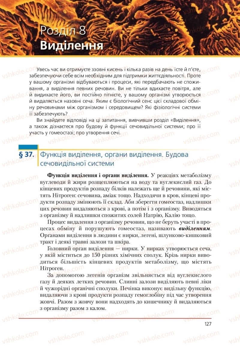 Страница 127 | Підручник Біологія 9 клас Т.І. Базанова, Ю.В. Павіченко, А.М. Тіткова 2009