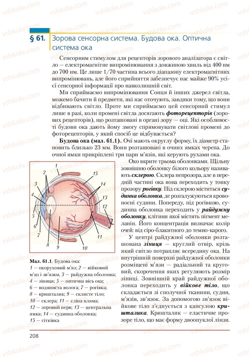 Страница 208 | Підручник Біологія 9 клас Т.І. Базанова, Ю.В. Павіченко, А.М. Тіткова 2009