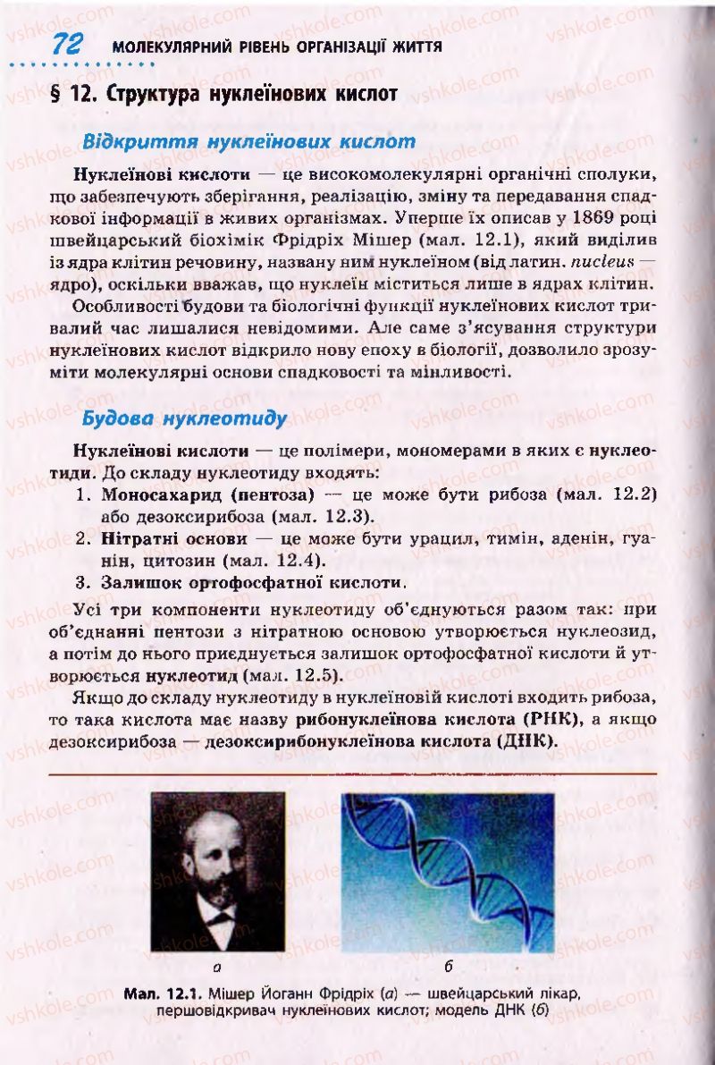 Страница 72 | Підручник Біологія 10 клас О.В. Тагліна 2010 Академічний рівень