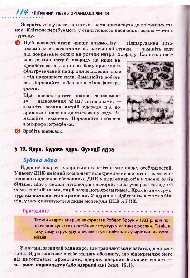 Страница 114 | Підручник Біологія 10 клас О.В. Тагліна 2010 Академічний рівень