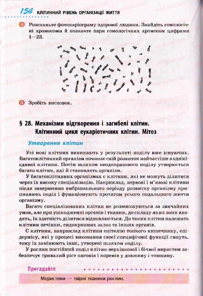 Страница 154 | Підручник Біологія 10 клас О.В. Тагліна 2010 Академічний рівень