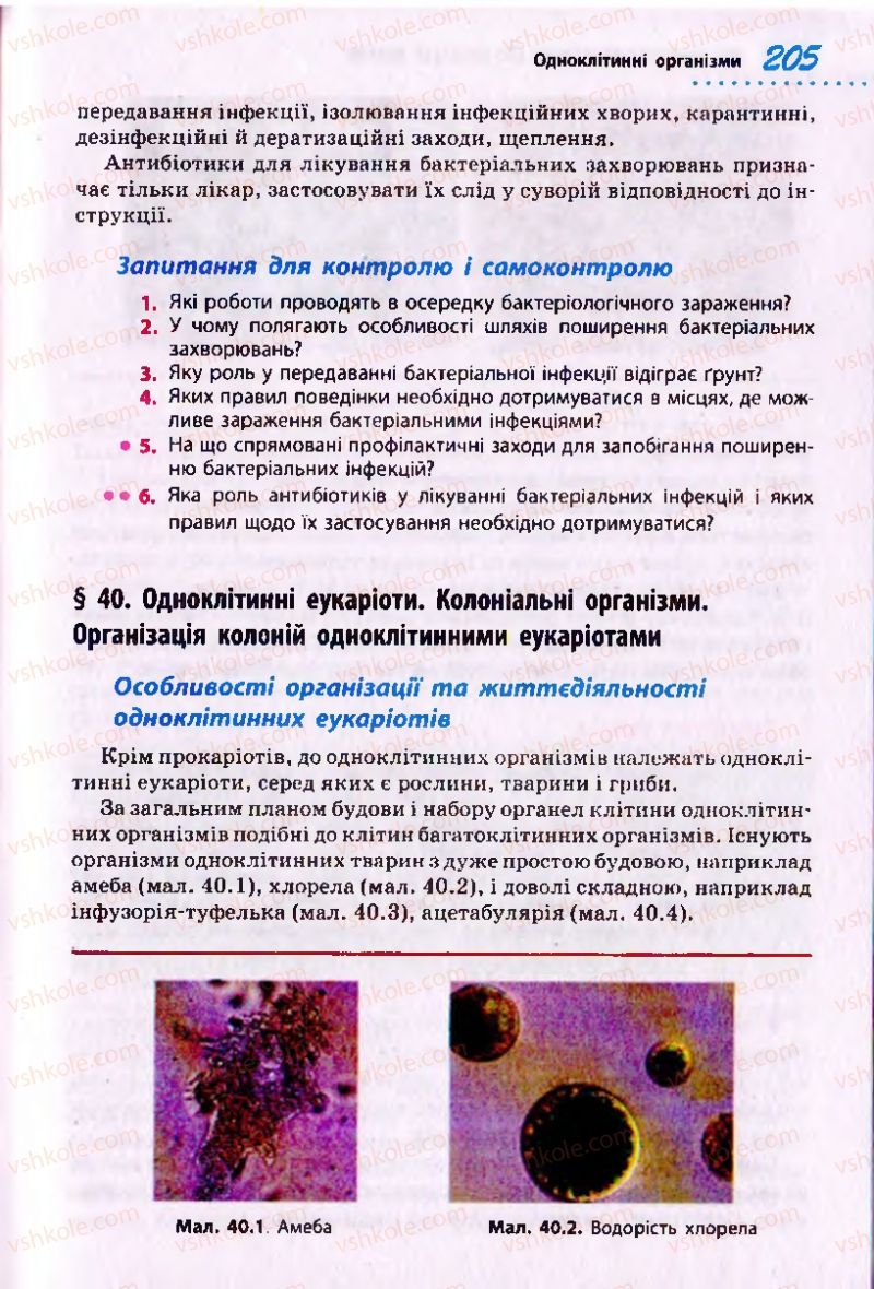 Страница 205 | Підручник Біологія 10 клас О.В. Тагліна 2010 Академічний рівень