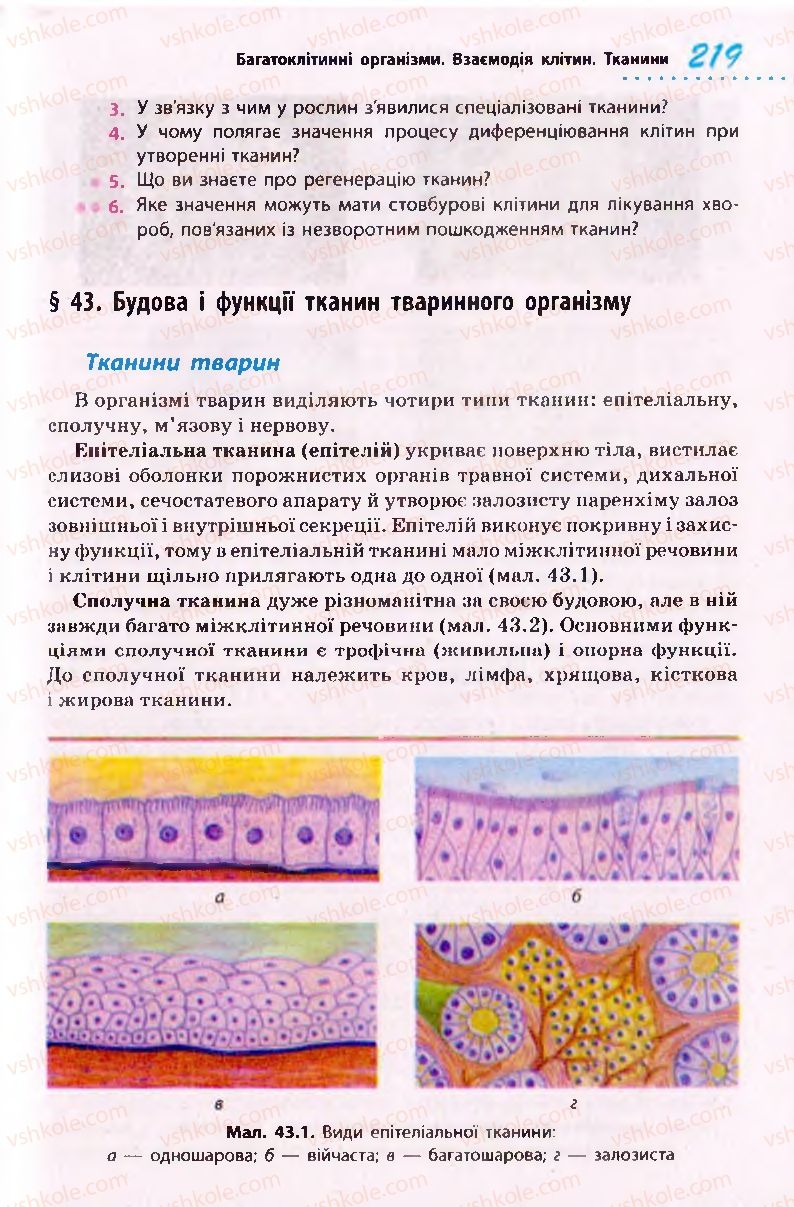 Страница 219 | Підручник Біологія 10 клас О.В. Тагліна 2010 Академічний рівень