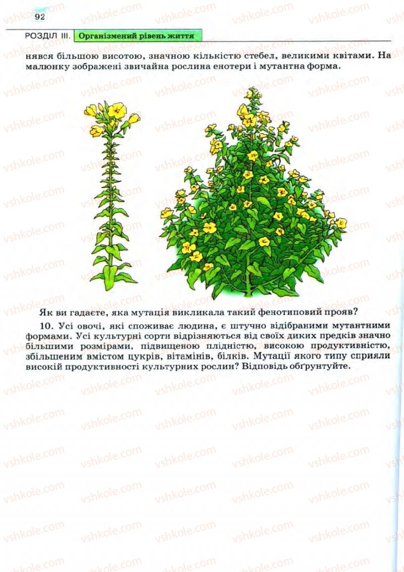 Страница 92 | Підручник Біологія 11 клас С.В. Межжерін, Я.О. Межжеріна 2011 Академічний рівень