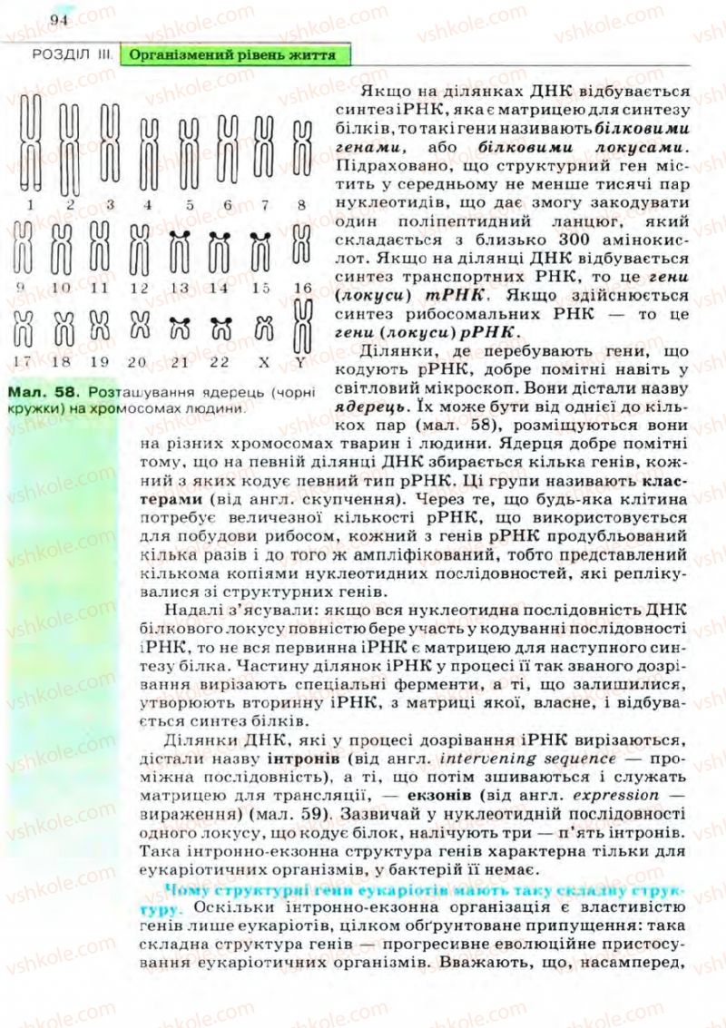 Страница 94 | Підручник Біологія 11 клас С.В. Межжерін, Я.О. Межжеріна 2011 Академічний рівень