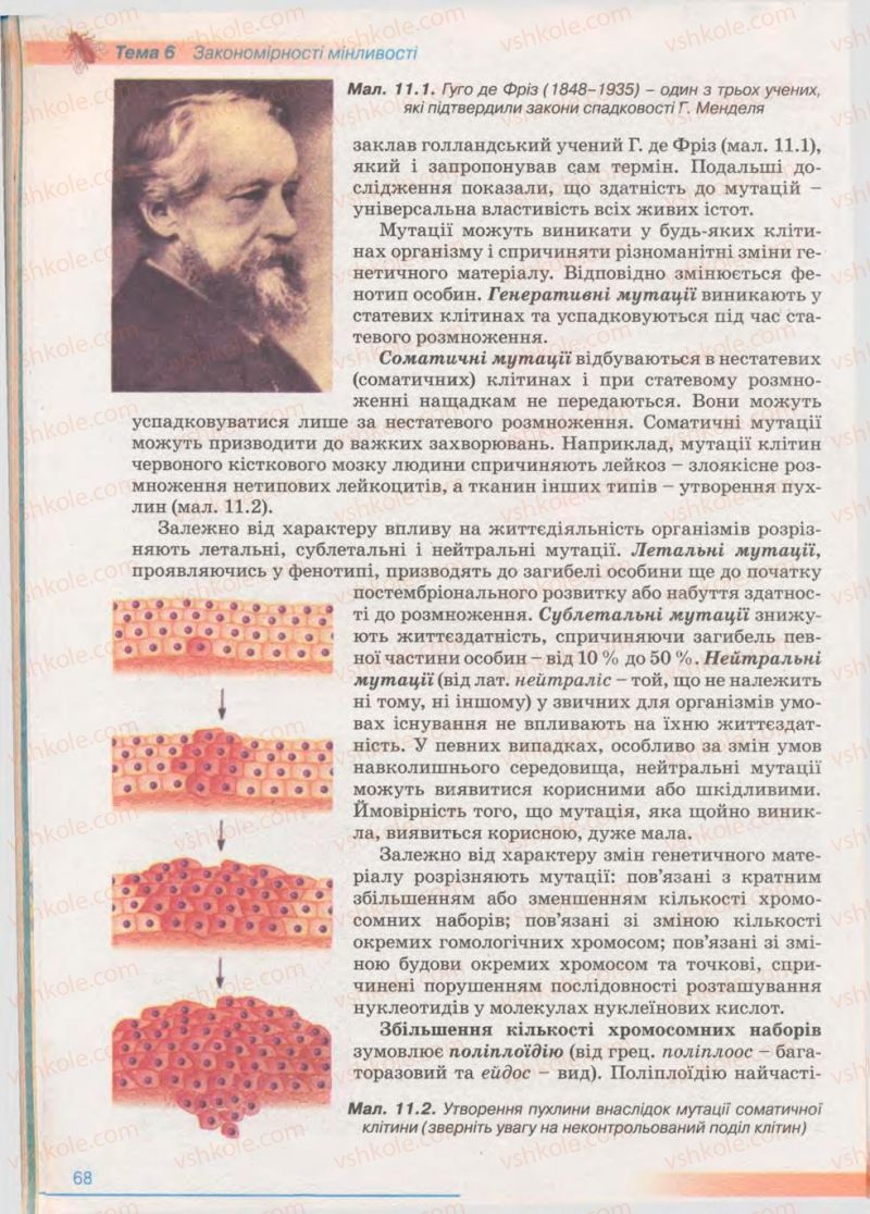 Страница 68 | Підручник Біологія 11 клас П.Г. Балан, Ю.Г. Вервес 2011 Академічний рівень