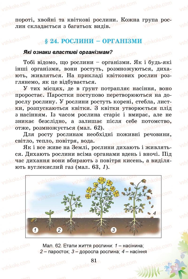 Страница 81 | Підручник Природознавство 3 клас Т.Г. Гільберг, Т.В. Сак 2014