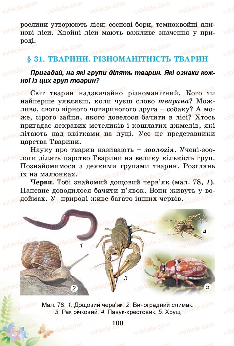 Страница 100 | Підручник Природознавство 3 клас Т.Г. Гільберг, Т.В. Сак 2014