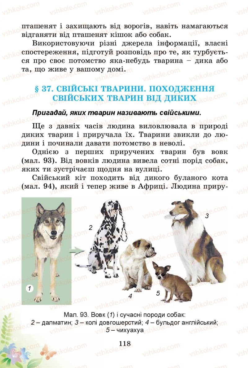 Страница 118 | Підручник Природознавство 3 клас Т.Г. Гільберг, Т.В. Сак 2014