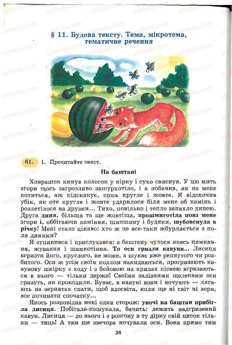 Страница 36 | Підручник Українська мова 5 клас С.Я. Єрмоленко, В.Т. Сичова 2005