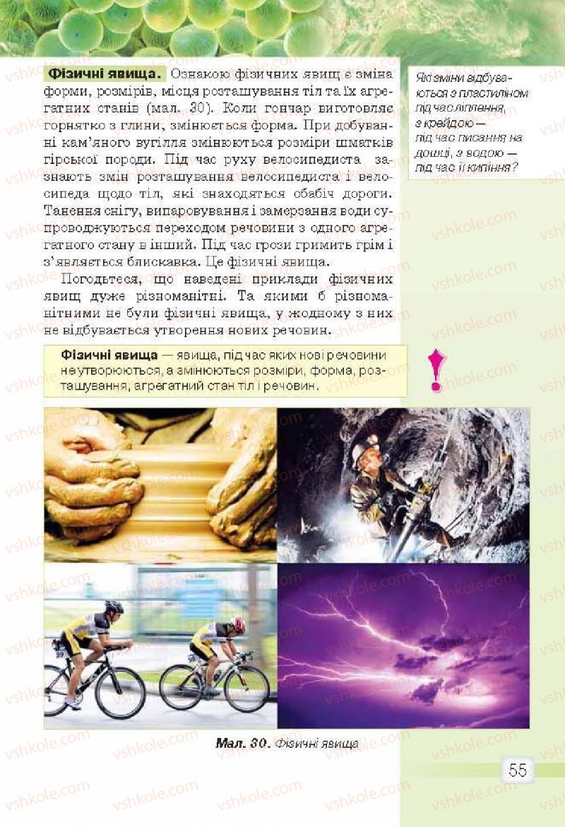 Страница 55 | Підручник Природознавство 5 клас О.Г. Ярошенко, В.М. Бойко 2013