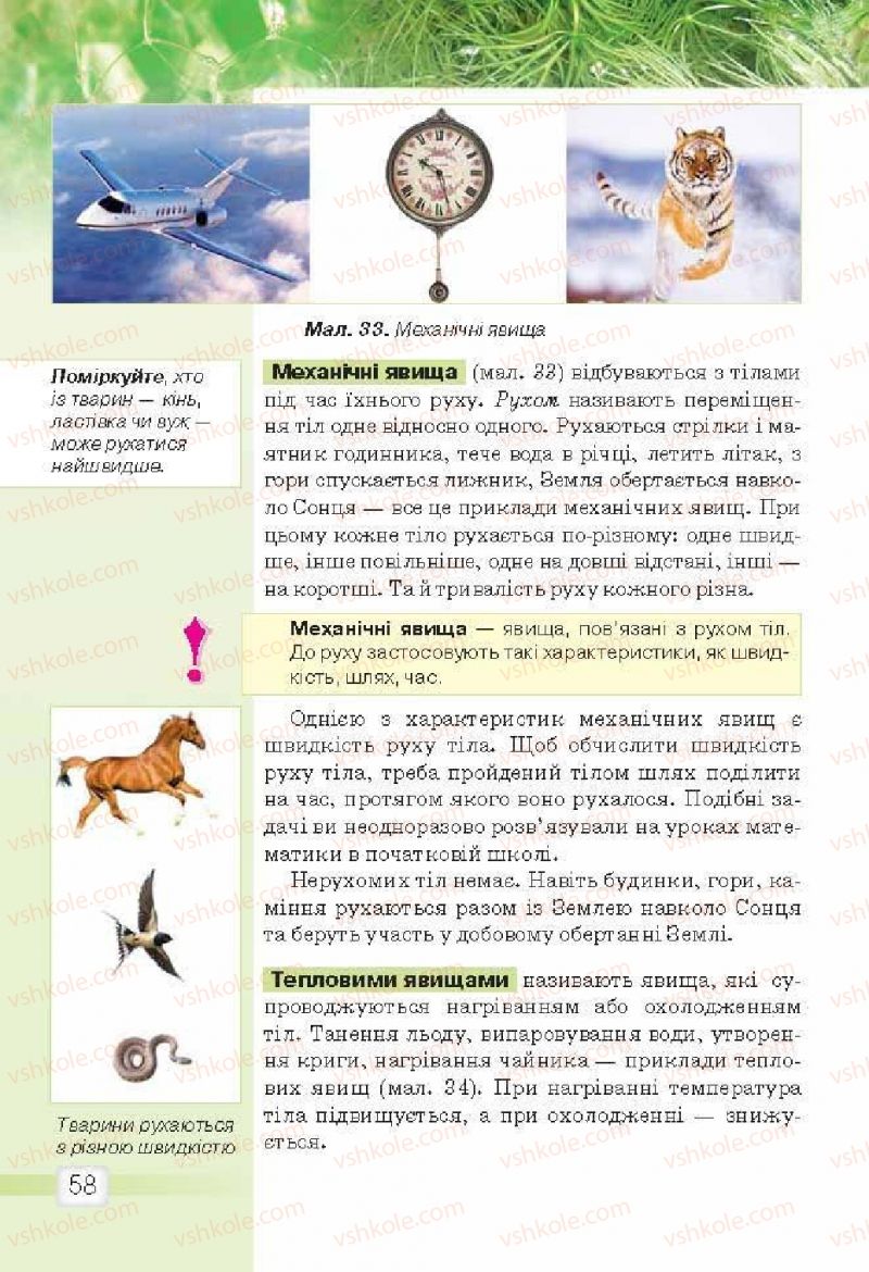 Страница 58 | Підручник Природознавство 5 клас О.Г. Ярошенко, В.М. Бойко 2013