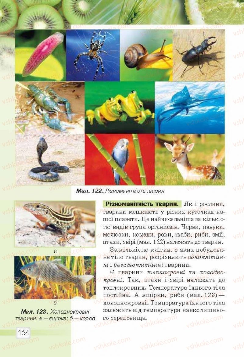 Страница 164 | Підручник Природознавство 5 клас О.Г. Ярошенко, В.М. Бойко 2013
