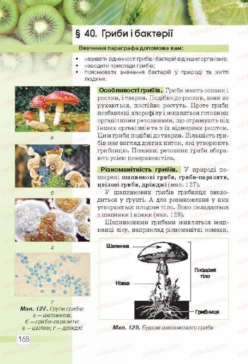 Страница 168 | Підручник Природознавство 5 клас О.Г. Ярошенко, В.М. Бойко 2013