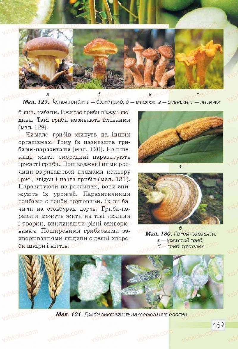 Страница 169 | Підручник Природознавство 5 клас О.Г. Ярошенко, В.М. Бойко 2013