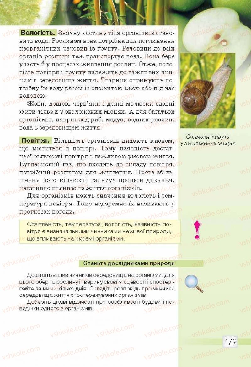 Страница 179 | Підручник Природознавство 5 клас О.Г. Ярошенко, В.М. Бойко 2013