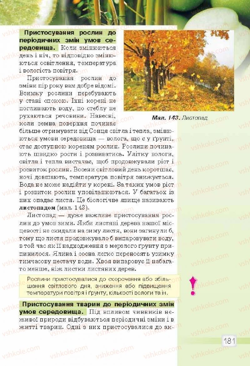 Страница 181 | Підручник Природознавство 5 клас О.Г. Ярошенко, В.М. Бойко 2013