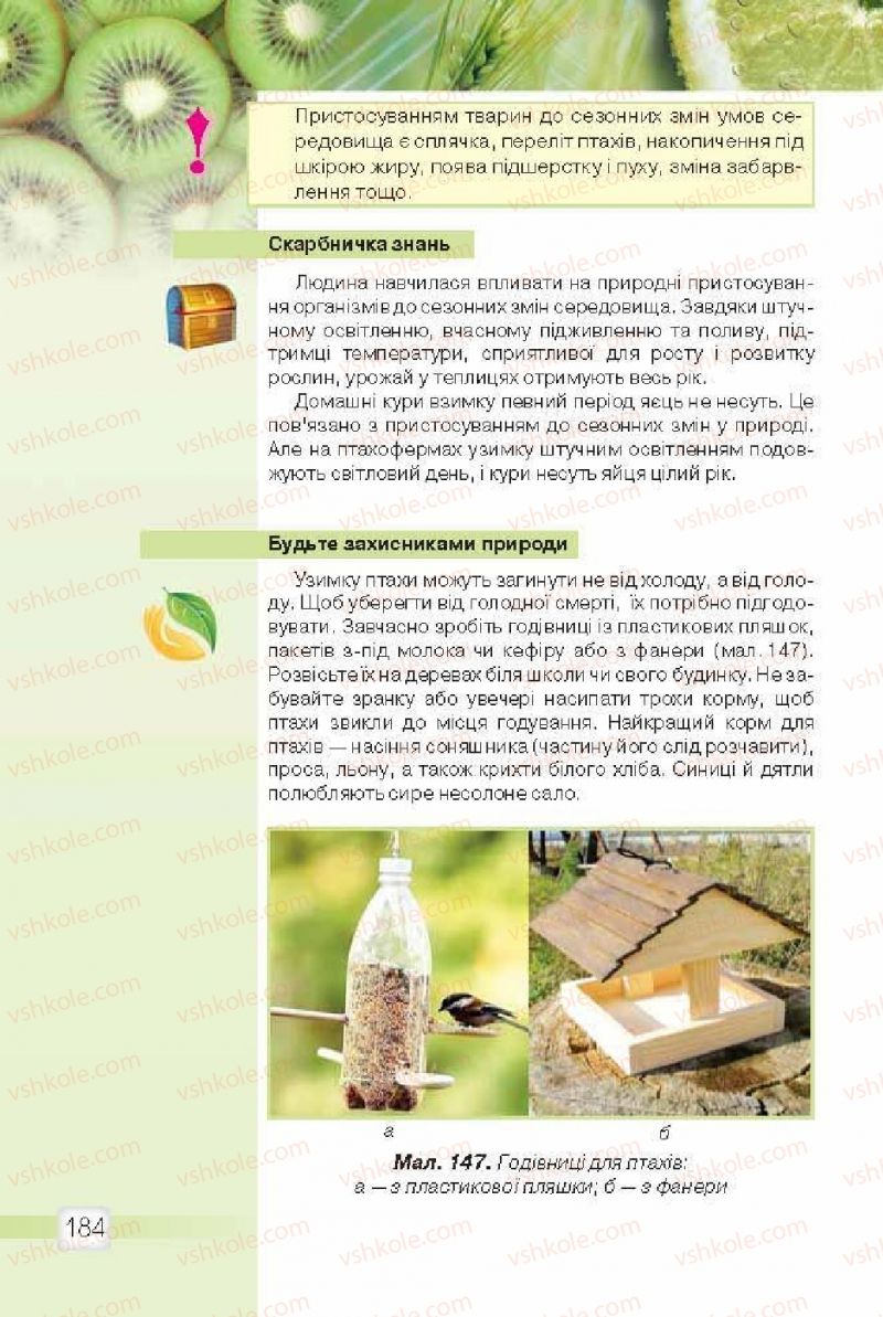 Страница 184 | Підручник Природознавство 5 клас О.Г. Ярошенко, В.М. Бойко 2013