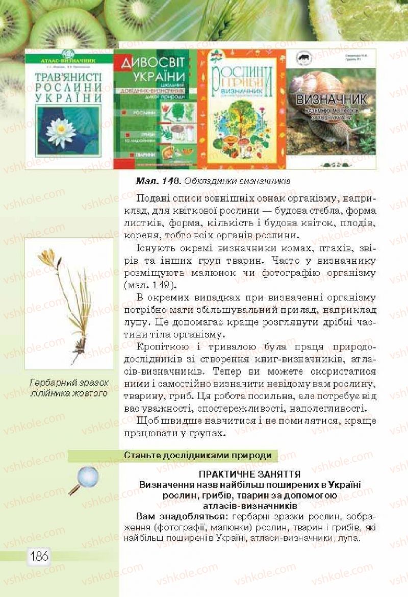 Страница 186 | Підручник Природознавство 5 клас О.Г. Ярошенко, В.М. Бойко 2013