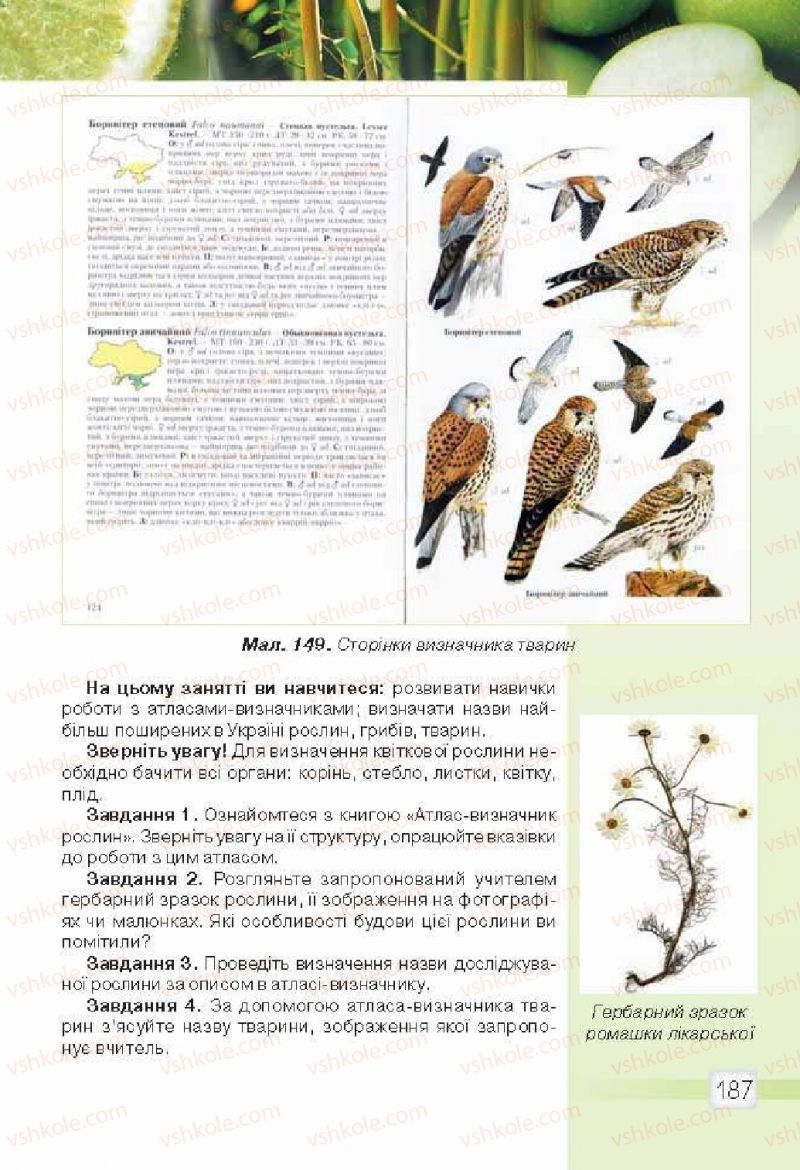 Страница 187 | Підручник Природознавство 5 клас О.Г. Ярошенко, В.М. Бойко 2013