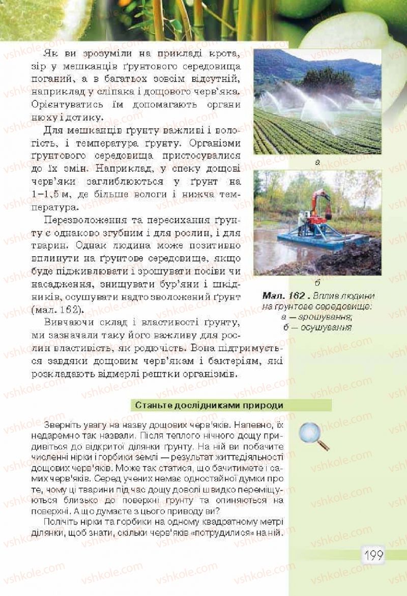 Страница 199 | Підручник Природознавство 5 клас О.Г. Ярошенко, В.М. Бойко 2013