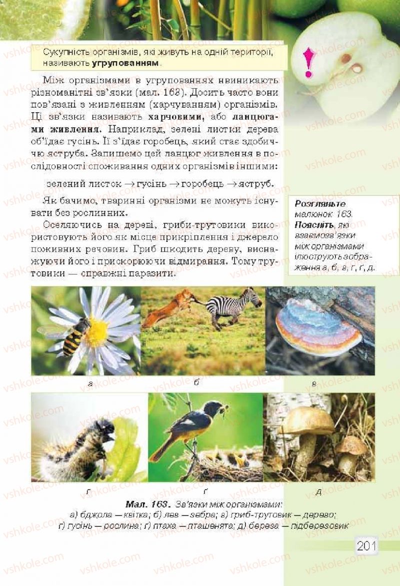 Страница 201 | Підручник Природознавство 5 клас О.Г. Ярошенко, В.М. Бойко 2013