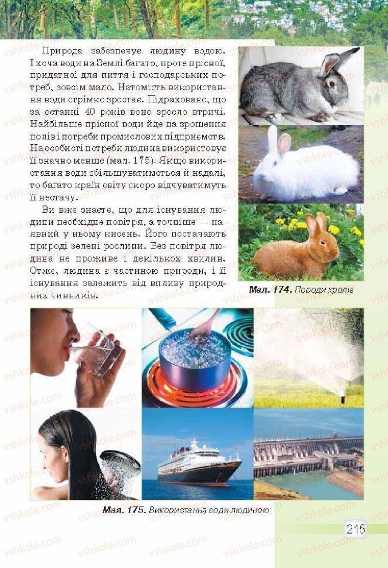 Страница 215 | Підручник Природознавство 5 клас О.Г. Ярошенко, В.М. Бойко 2013